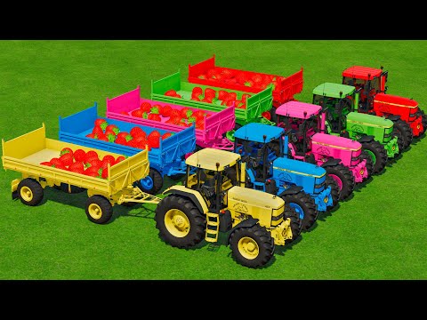 LOAD & TRANSPORT GIANT STRAWBERRY WITH COLORED TRACTORS FROM COLORFUL FARM Farming Simulator 22