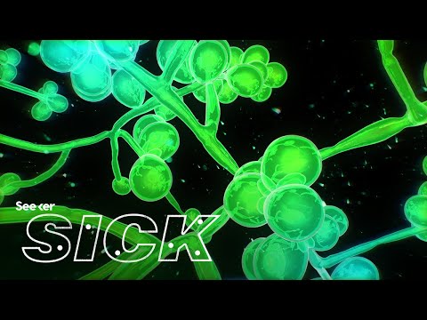 世界を席巻する薬剤耐性スーパーバグに出会う (Meet the Drug-Resistant Superbug That’s Taking Over the World)