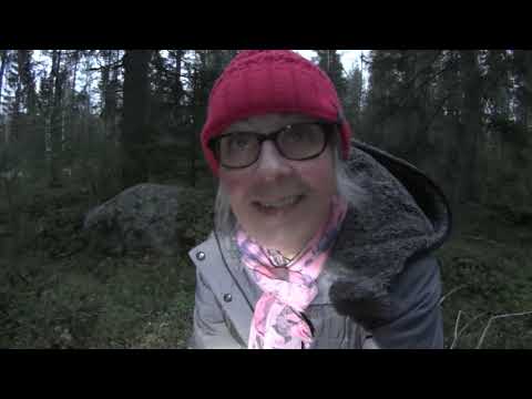 Suppiksista kevyt kastike