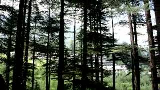 preview picture of video 'Van Vihar, Manali (Himachal Pradesh) INDIA'