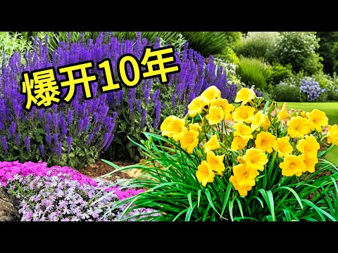 没人告诉你的5种‘永生花’！美到嫉妒，种一次爽十年！5 ‘Forever Flowers’ No One Told You About — Bloom for 10 Years!