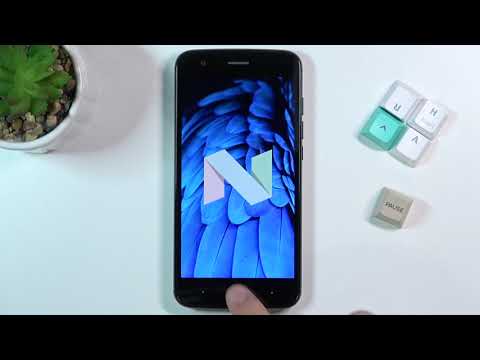 How to Check Android Version in ZTE Blade V8 Lite – Find Phone Specs