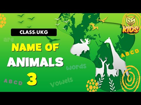 Let's learn the Name of 5 Animals 3 - LKG (English) Gyansrota Kids