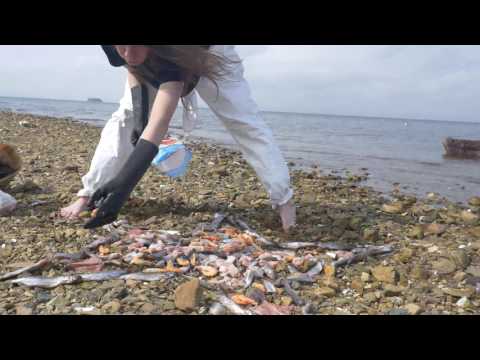 they will poke your knees