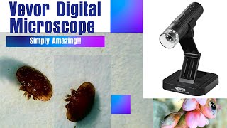 Vevor Digital Microscope with Discount