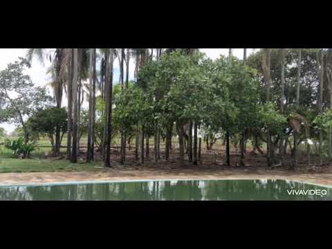Fazenda em Alexania/ GO