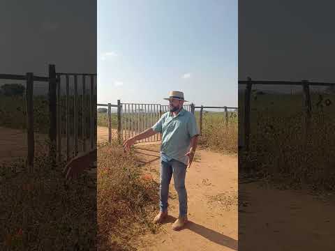 vendo essa maravilha em bodoco pe Tamanho 121 hectares 8799102 3154/ 8798183 2650