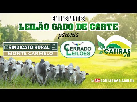LEILÃO AO VIVO CERRADO LEILÕES E SINDICATO RURAL DE MONTE CARMELO - MG -  23 DE SETEMBRO DE 2026.