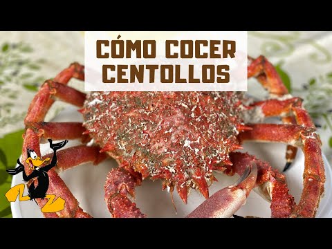 3 TRUCOS para Cocer Centollos y Centollas 🦀 ¡FRESCO o CONGELADO!