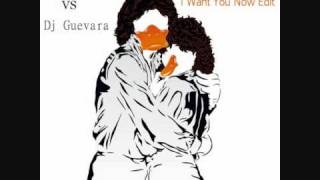 Duck Sauce Vs Dj Guevara - Barbra Streisand (i want you now edit)