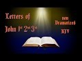 Epistles of John KJV Audio Bible with Text