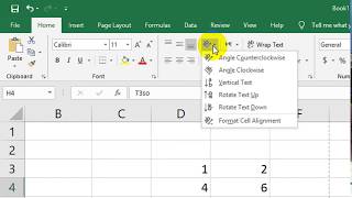 How to make text angle counterclockwise In Microsoft Excel
