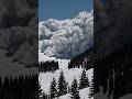 Skier Outruns Avalanche! #ski #avalanche