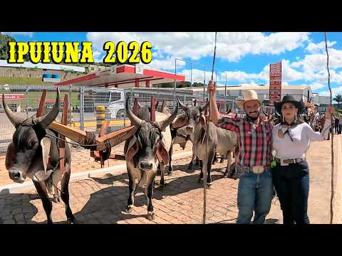 223 CARREIROS NO DESFILE EM IPUIUNA !