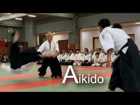 【Aikido】Comprehensive Demonstration ‐ Shirakawa Katsutoshi shihan