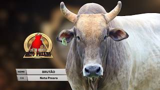 Rodeio de SANTA MERCEDES 2026 (S0RTEI0 / QUINTA / ROUND 1)