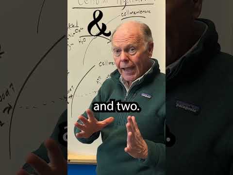 Hydration Explained!