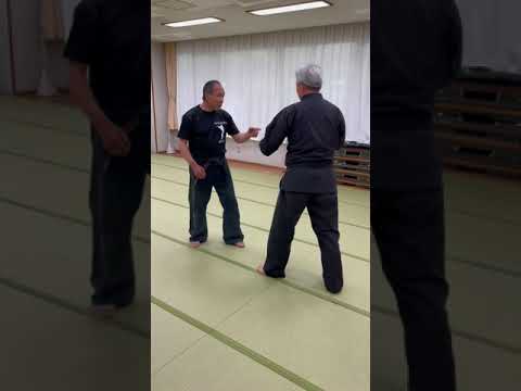 Counter Low Kick for Strait Punch【貴重】ストレートへのローのカウンター