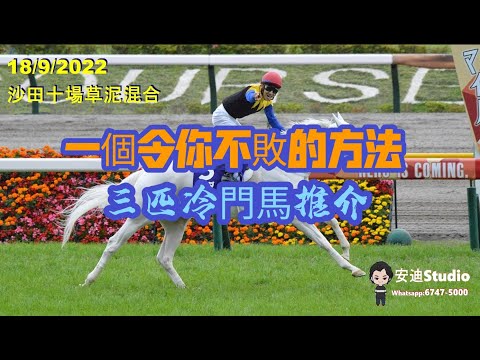 一個令你不敗的方法.18/9沙田十場草泥混合,三匹冷門馬推介.