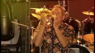 Wolfgang Ambros - Zwickt&#39;s mi 2008