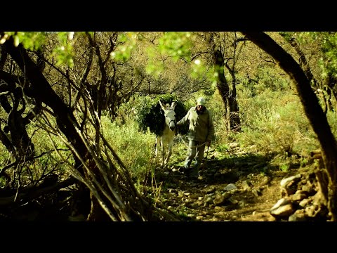 "Hidalgo, rastreador de yuyos"  Documental grabado en las Sierras de los Comechingones