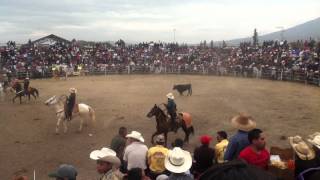 preview picture of video 'Galeana Mich Jaripeo 1/1/13 parte 1'