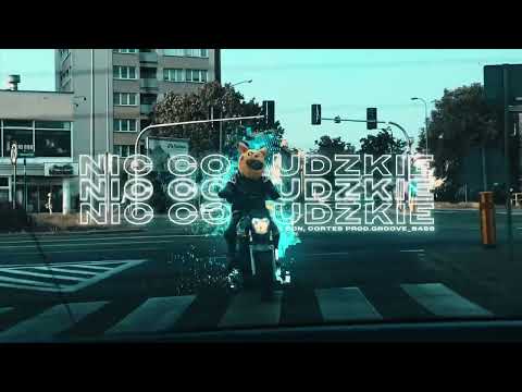 Olson, Marcin Cortes - Nic co ludzkie (prod. groove_bass)