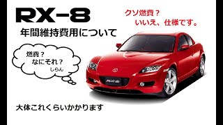 【LA-SE3P RX-8】年間維持費用のまとめ&利点欠点
