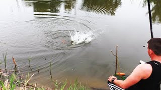 Вечерняя рыбалка это во сколько