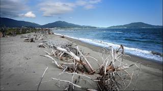 Pain (NHK BS Premium SHOGO HAMADA LIVE SPECIAL)