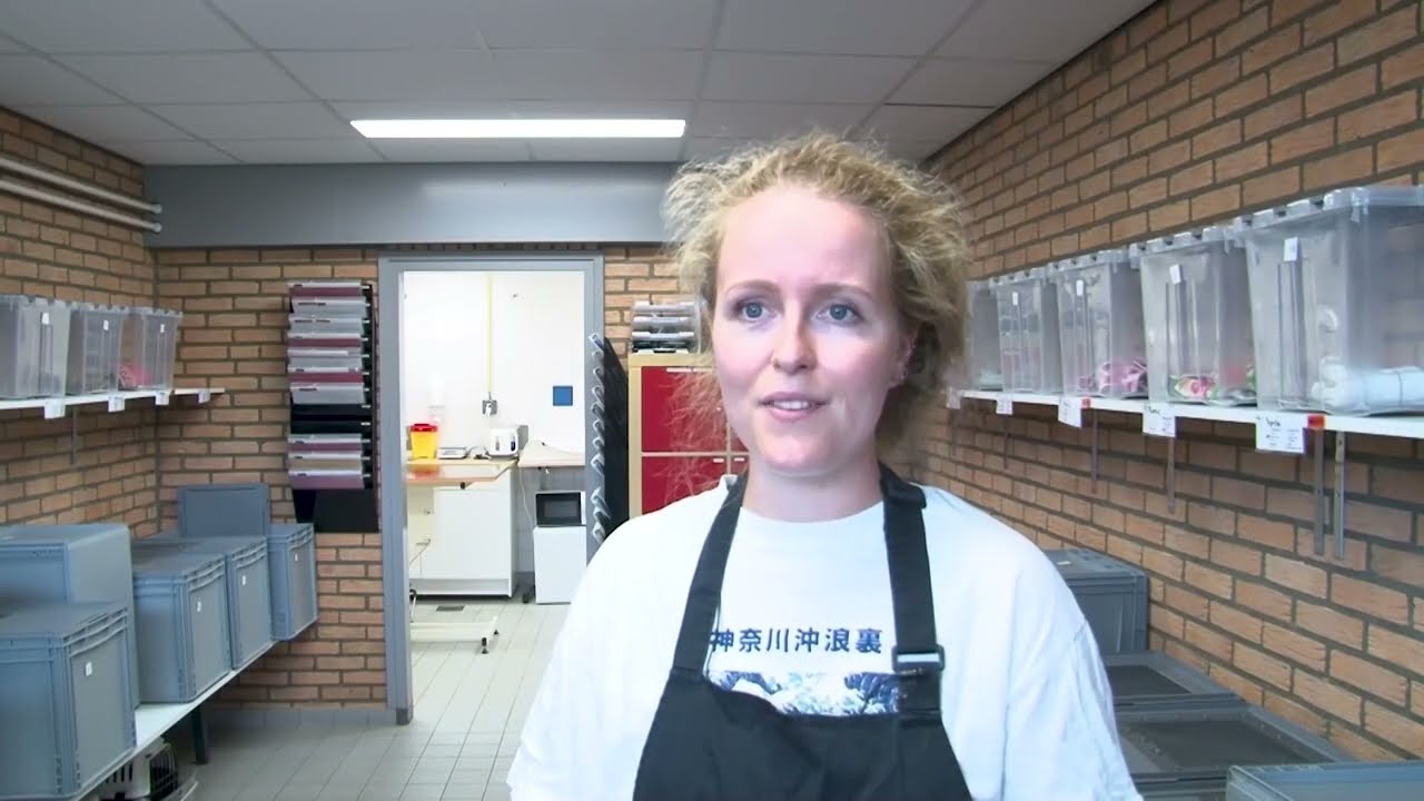 De Etalage aflevering 2-2025