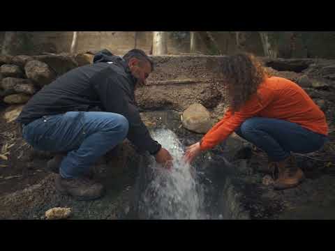 Discover Jordan | Um Qais Hike & Al Himma |  اكتشف الأردن | أم قيس والحمة |