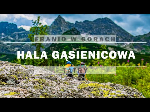 Franio w górach - Murowaniec z Brzezin - TATRY Z DZIECKIEM