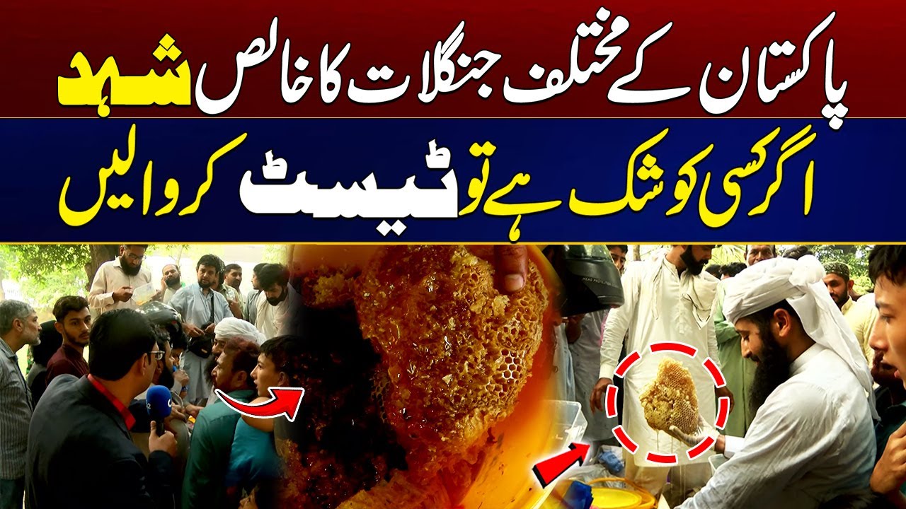 Pure Forest Honey From Pakistan! | Reporter Shocked | City 21
