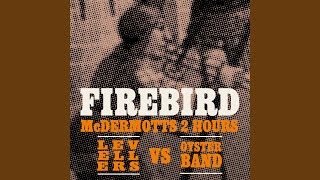 Music video thumbnail preview for Firebird by Levellers