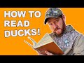 Duck Calling What When And How Much To Call Reading Ducks