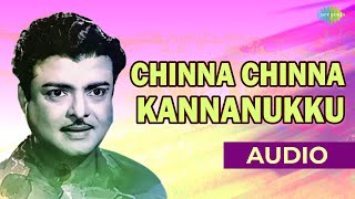 Chinna Chinna Kannanukku Audio Song  Kaattu Roja  