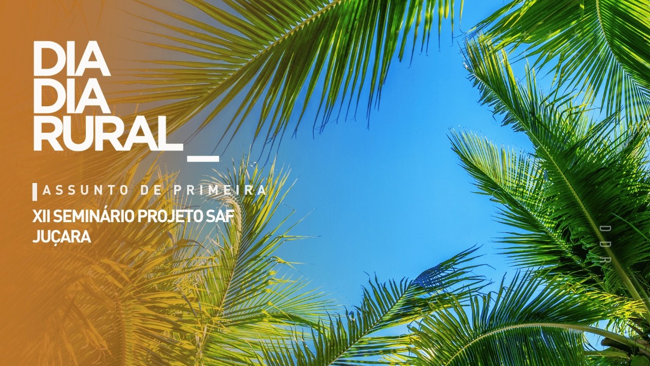 XII Seminário Projeto SAF Juçara: evento promove intercâmbio cultural entre Brasil e Japão