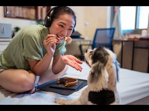 The Ultimate Guide to Finding the Healthiest Pet Food Products for Your Dog or other Furry Friends