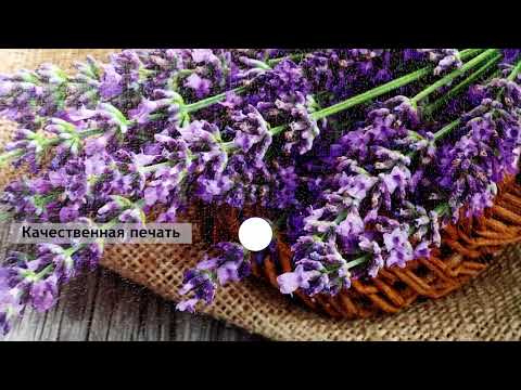 Миниатюра изображения товара Ключница настенная Декарт Лаванда в корзине 8Л3828