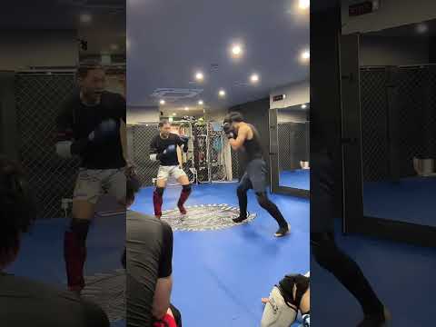 ミドルキックはお腹に蹴らないとダメってわけじゃない 腕を潰すミドルも使っていこう！ #livehighlights #tiktoklive #ミドルキック #mma #格闘技 #キックボクシング