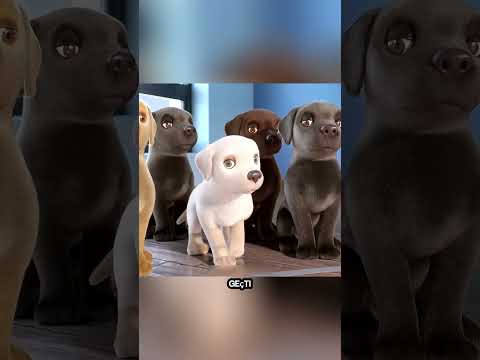 Bu minik köpeği dışarı attılar... Sonra o da kör bir kızı kurtardı! 🐶😭 #shorts
