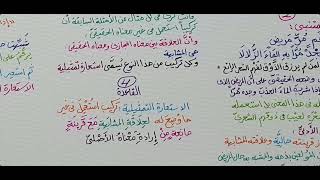 صورة البلاغة الواضحة ( الاستعارة التمثيلية ) 11