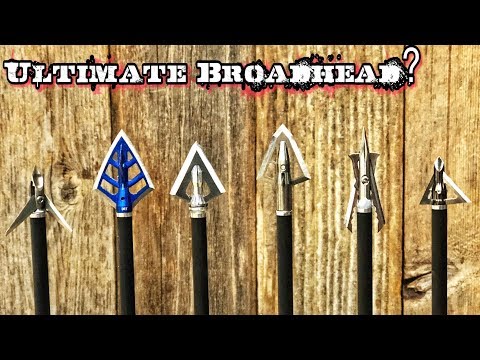 INSANE! Hunting Broadheads vs 50 Gallon Steel Drum!