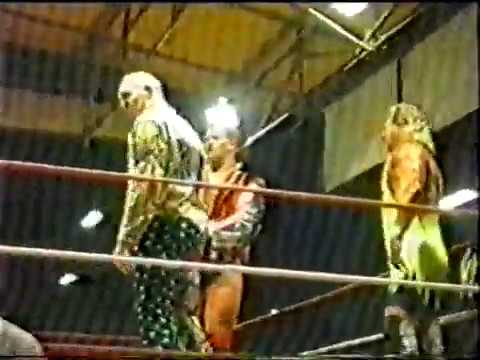 Kauroff, Brody, Cruz vs. Taylor, Wright, St Clair (Wien´91)