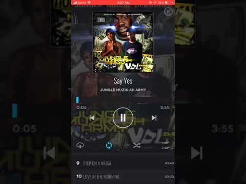 Jungle Muzik Larry - Say Yes