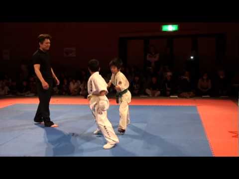 2011リアル天下一武道会