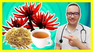 Chá de Mulungu: “boa noite Cinderela” natural. Para que serve?