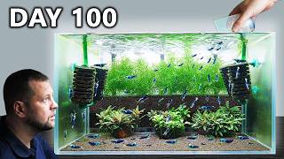 2 Caridina Shrimp Tanks Setup – 100 Day Cycle (Step by Step KW Shrimp Method)