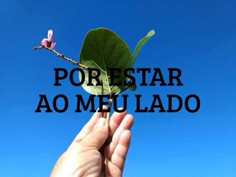 OBRIGADO PROFESSOR - MEU MESTRE